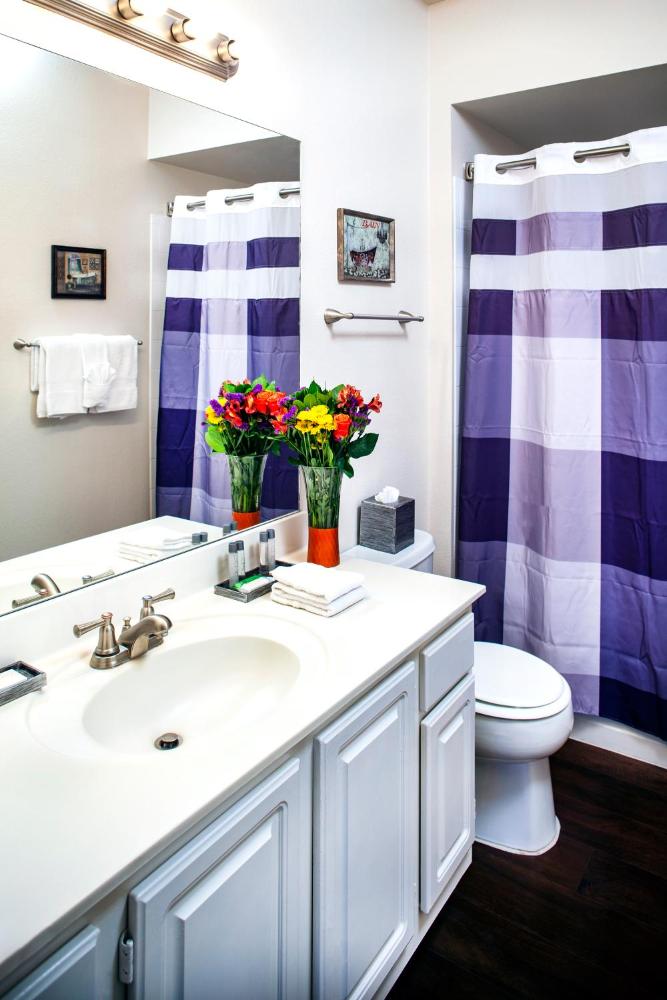 One-Bedroom Apartment interior